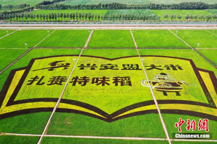 點擊進(jìn)入下一頁