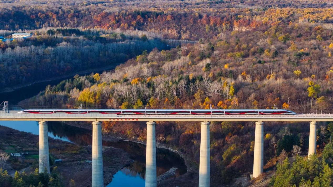 沈白高鐵正式開通運營。受訪方供圖